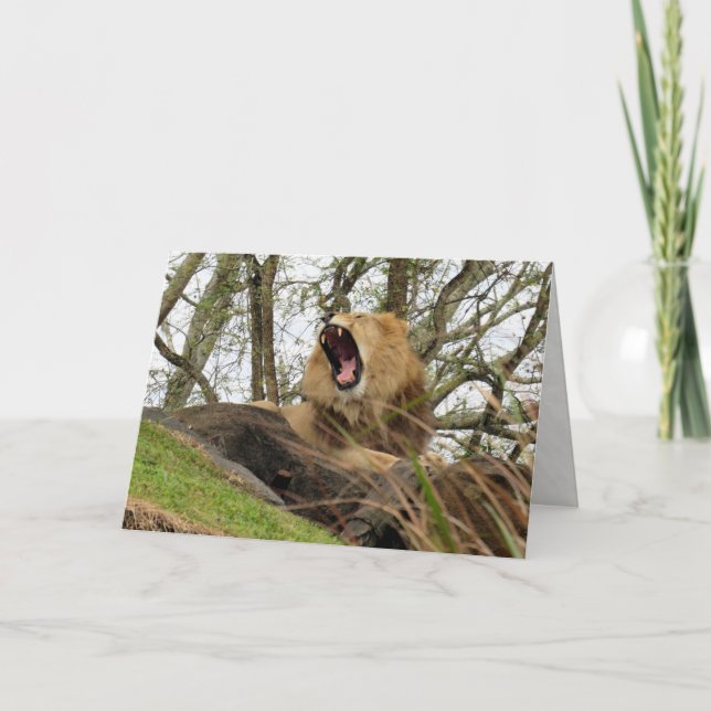 Carte Le puissant lion (Devant)