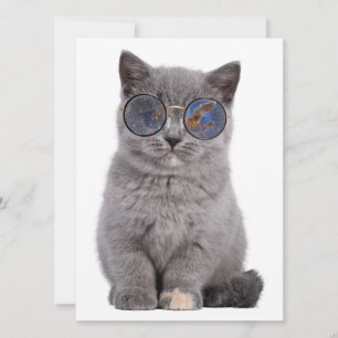 Carte Le regard galactique Le Kitty Stellar dans les lun