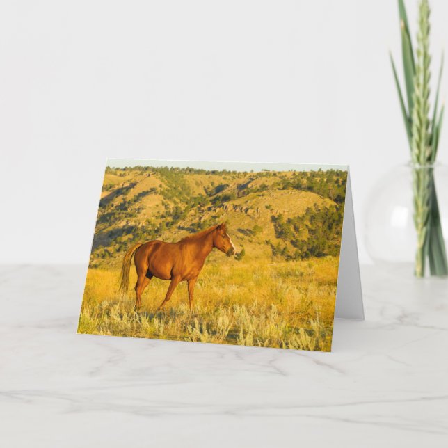 Carte Le sanctuaire des chevaux sauvages. (Devant)