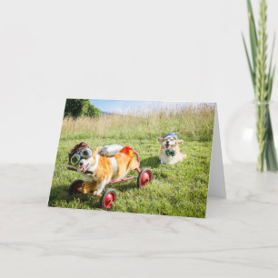 Carte Le scientifique Corgis sur une colline saluant en 