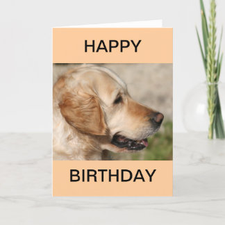 Carte Le sourire du Labrador