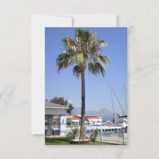 Carte Le territoire du club nautique Kemer avec palmier
