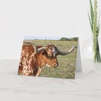Carte Le Texas Longhorn