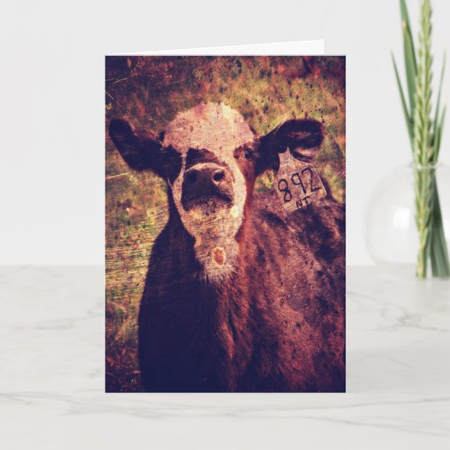 Carte Le Veau Adorable, Fête des pères (Devant)