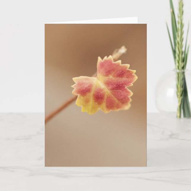 Carte Leaf automne (Devant)