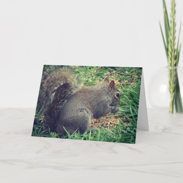 Carte L'écureuil dans les semences d'oiseaux (Devant)