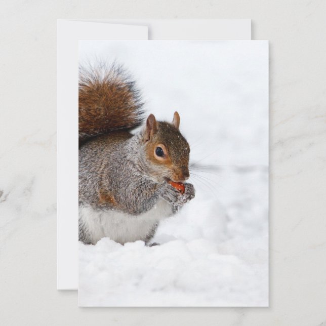 Carte L'écureuil en hiver (Devant)