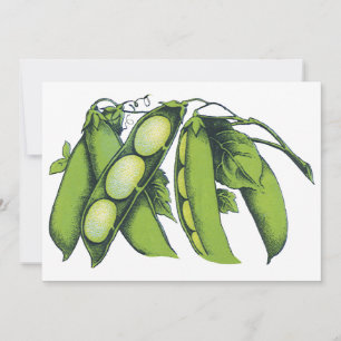 Carte Légumes vintages ; Haricots de Lima, Aliments Agri