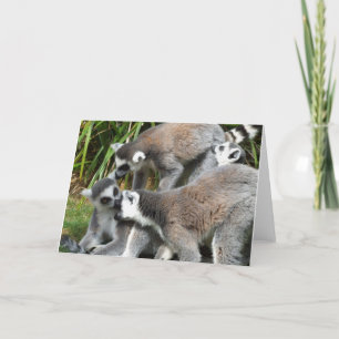 Carte Lemur