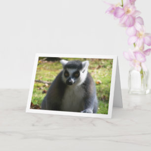 Carte Lemur à queue de cerne