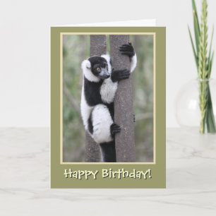 Carte Lémur noir et blanc Joyeux anniversaire