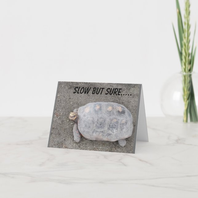 Carte LENTEMENT MAIS SÛR TURTLE ENVOIE *70ème ANNIVERSAI (Devant)