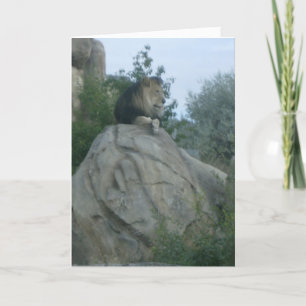 Carte Leo
