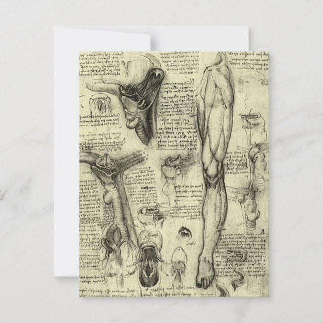 Carte Leonardo da Vinci Vintage Anatomie humaine Larynx  (Devant)