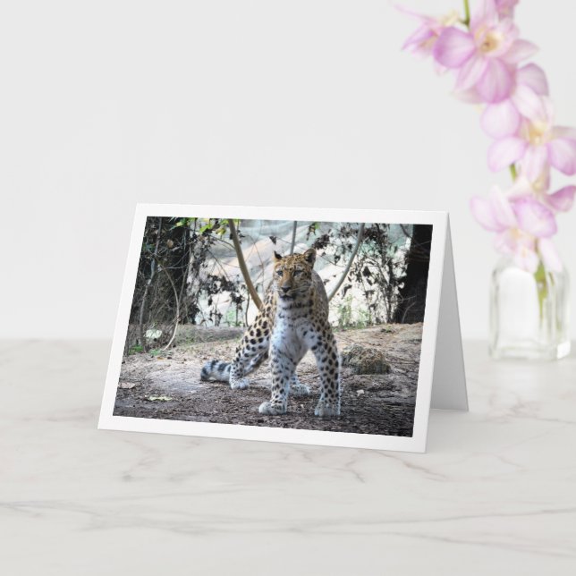 Carte Leopard en forêt (Orchidée)
