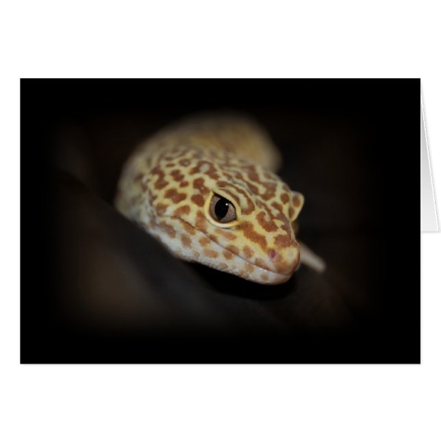 Carte Leopard Gecko (Devant horizontal)