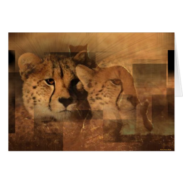 Carte Leopards (Devant horizontal)