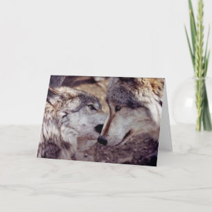 Carte Les amateurs de loups