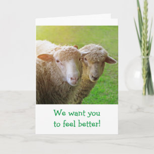 Carte Les amis des moutons s'en sortent bien
