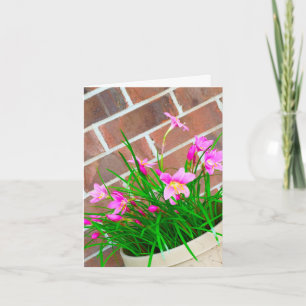 Carte Les anniversaires sont meilleurs dans le rose (la