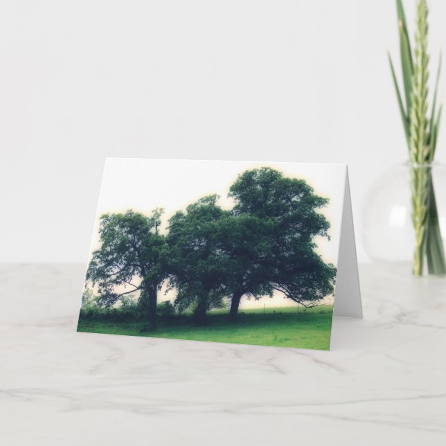 Carte Les arbres dans un pâturage (Devant)