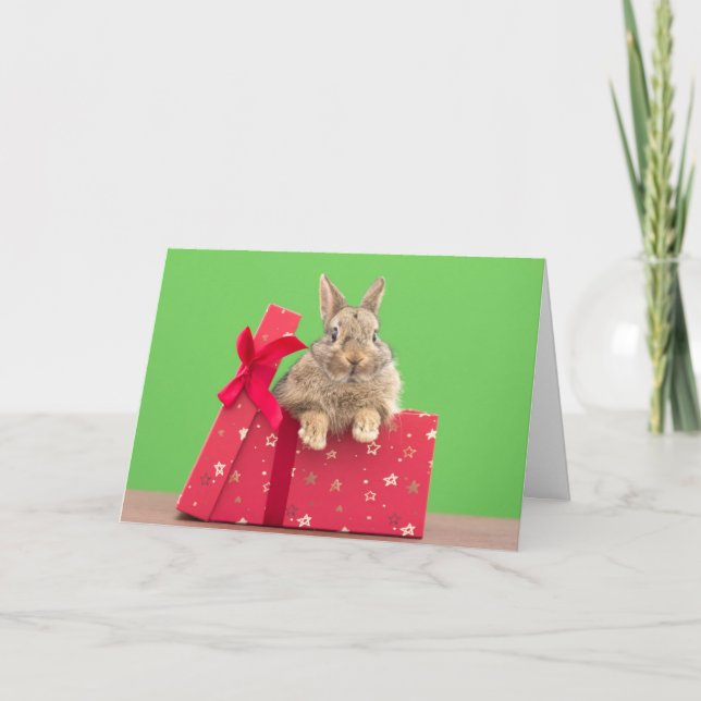 Carte Les bébés animaux les plus mignons | Lapin de Noël (Devant)