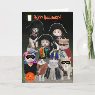 Carte Les chats amusants se faufilent à Halloween
