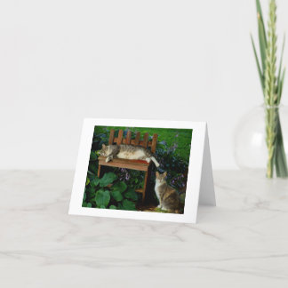 Carte Les chats dans le jardin