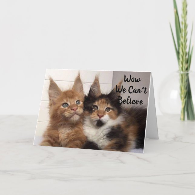 CARTE LES CHATS DE MAINE COON DISENT **40?** VOUS ? ANNI (Devant)