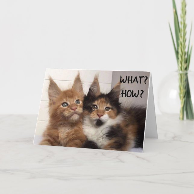 CARTE LES CHATS DE MAINE COON DISENT **50?** VOUS ? CART (Devant)