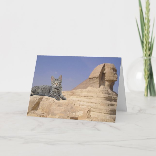 Carte Les chats règnent ! (Devant)