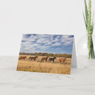 Carte Les Chevaux Juste En Dehors Du Parc National De Gr
