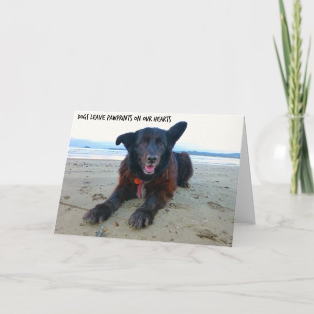Carte Les chiens laissent des empreintes de pattes - Car (Devant)