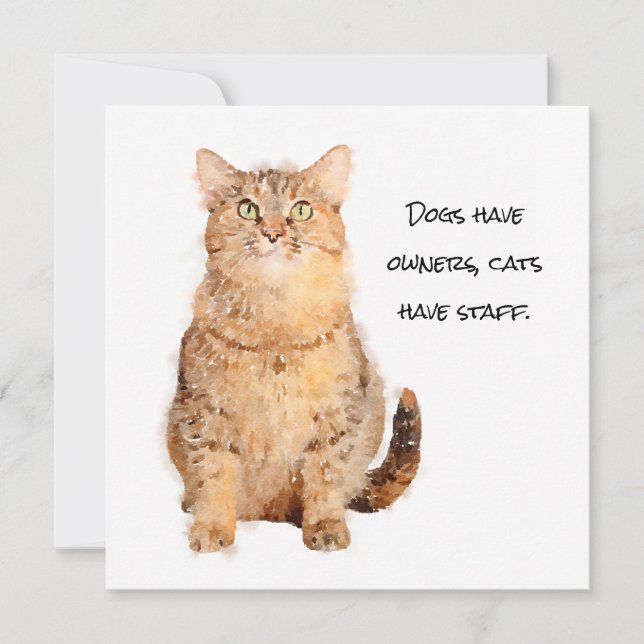 Carte Les chiens ont des propriétaires, les chats ont de (Devant)