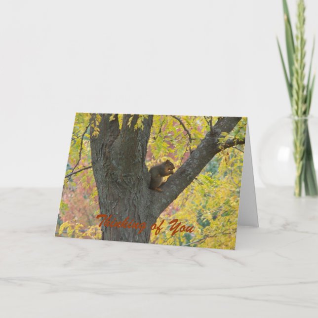 Carte Les couleurs de l'écureuil et de l'automne, Pensez (Devant)