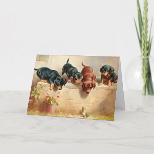 Carte Les curieux chiots de Dachshund et une grenouille
