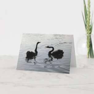 Carte Les cygnes noirs saluent
