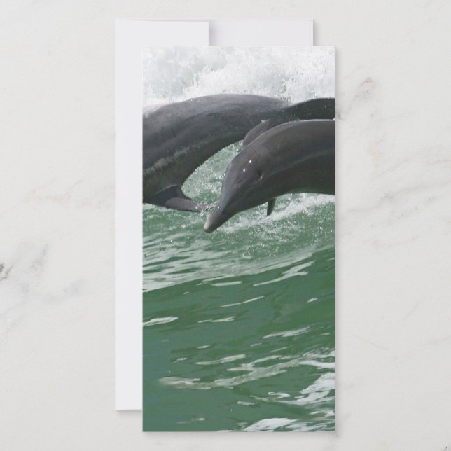Carte Les dauphins qui sautent (Devant)