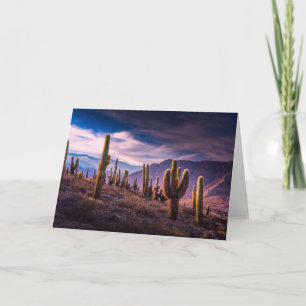 Carte Les déserts   Cactus Paysage Argentine