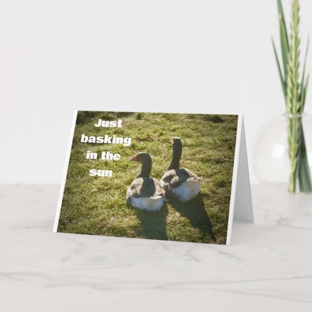 Carte LES DUCKS cool SONT SI HEUREUX POUR VOUS SUR *40èm (Devant)