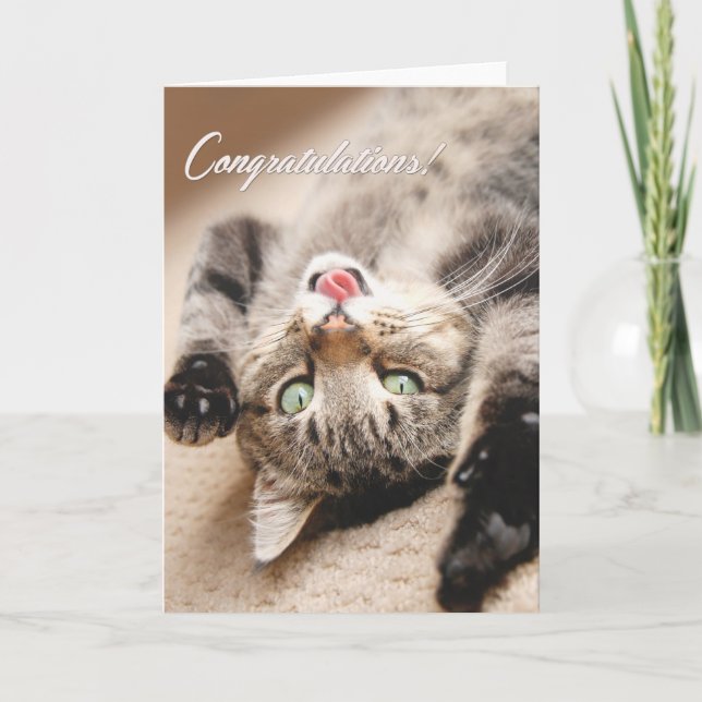 Carte Les félicitations cardent avec le chaton tigré (Devant)