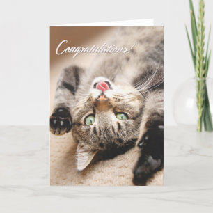 Carte Les félicitations cardent avec le chaton tigré