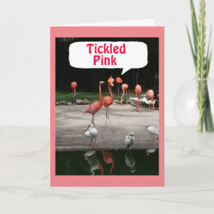 CARTE LES FLAMANTS ROSES D'OBSERVATION D'ANNIVERSAIRE SO