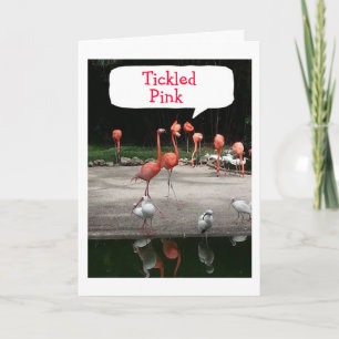CARTE LES FLAMANTS ROSES D'OBSERVATION D'ANNIVERSAIRE SO