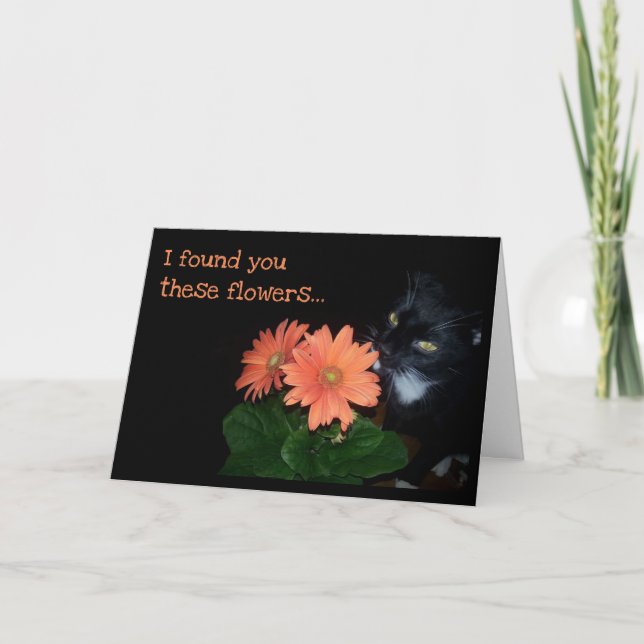 Carte Les Fleurs d'anniversaire du chat (Devant)