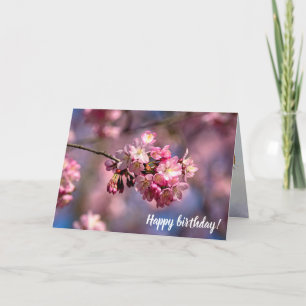 Carte Les Fleurs De Cerisier Sakura Dans Les Couleurs Ro