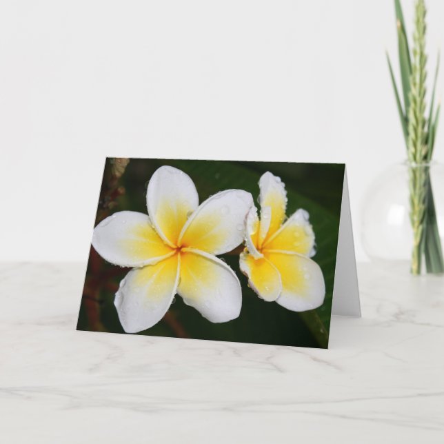 Carte Les fleurs de la plumeria (Devant)