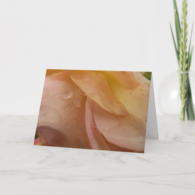 Carte Les gouttes de pluie sur les pétales Roses Peach F (Devant)