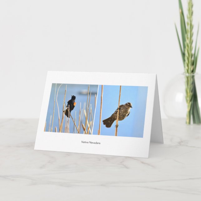 Carte Les habitants du Nevadan. Oiseaux. Photographie de (Devant)