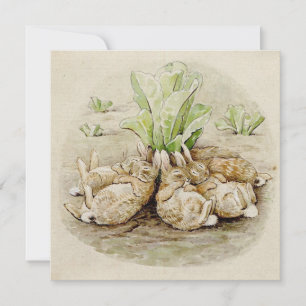 Carte Les lapins de Flopsy endormis (par Beatrix Potter)